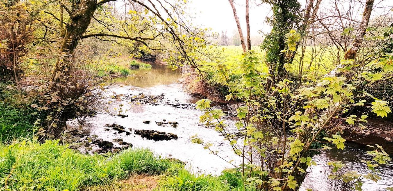 Kingsley Cottage - Beautiful Riverside Setting Beaworthy Exterior foto