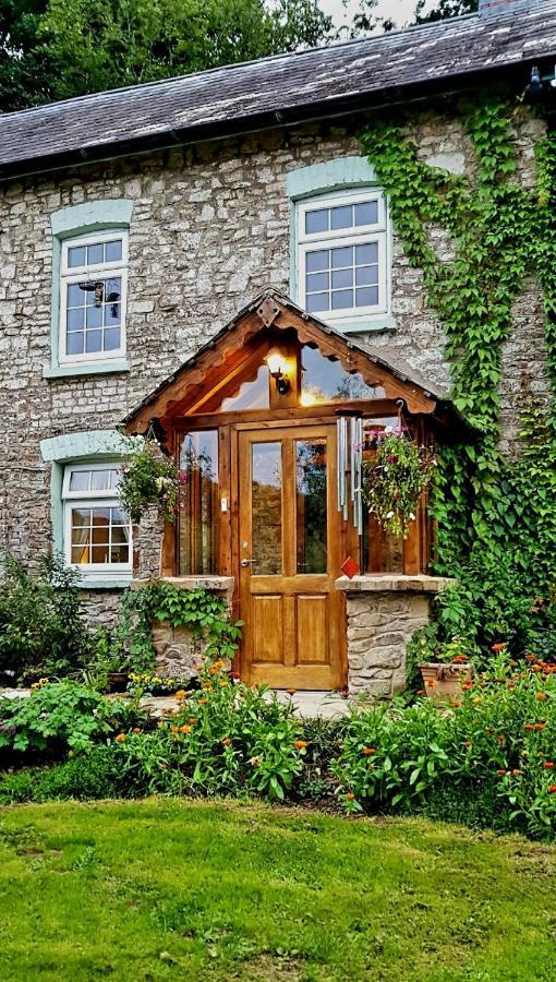 Kingsley Cottage - Beautiful Riverside Setting Beaworthy Exterior foto