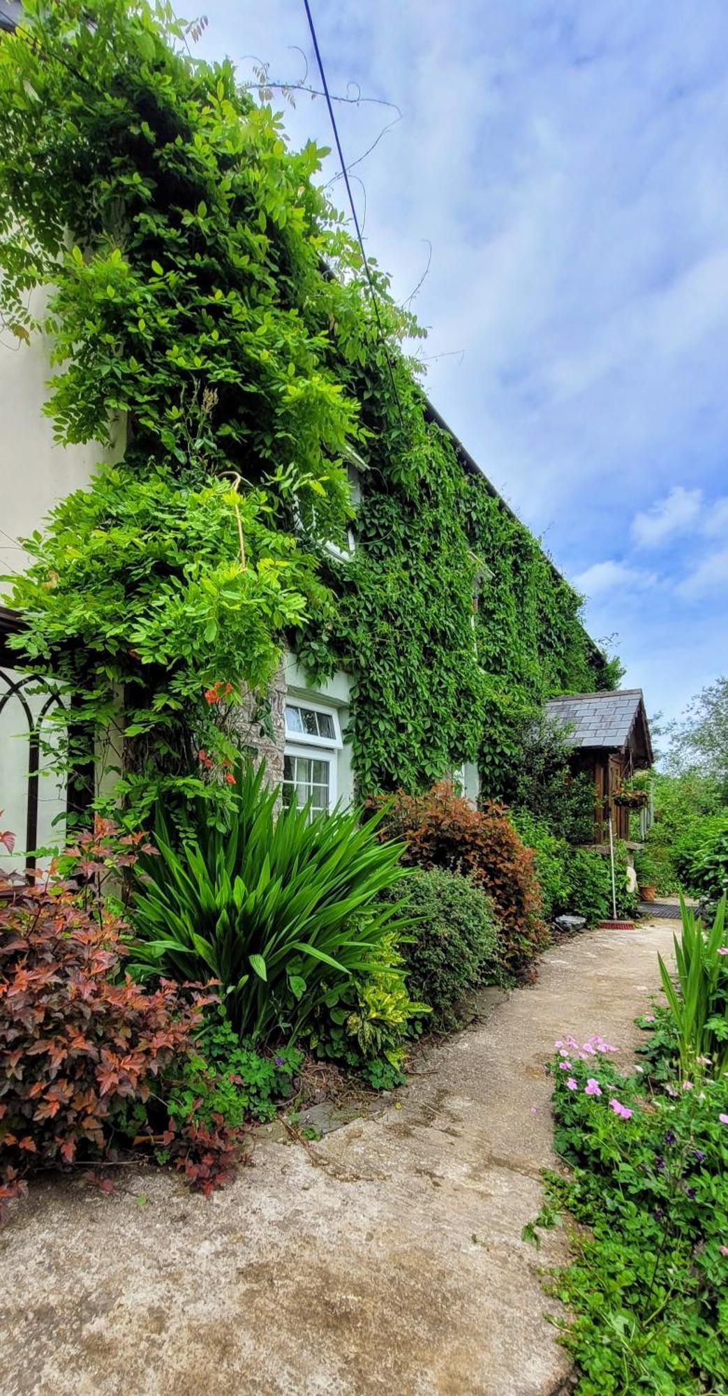 Kingsley Cottage - Beautiful Riverside Setting Beaworthy Exterior foto