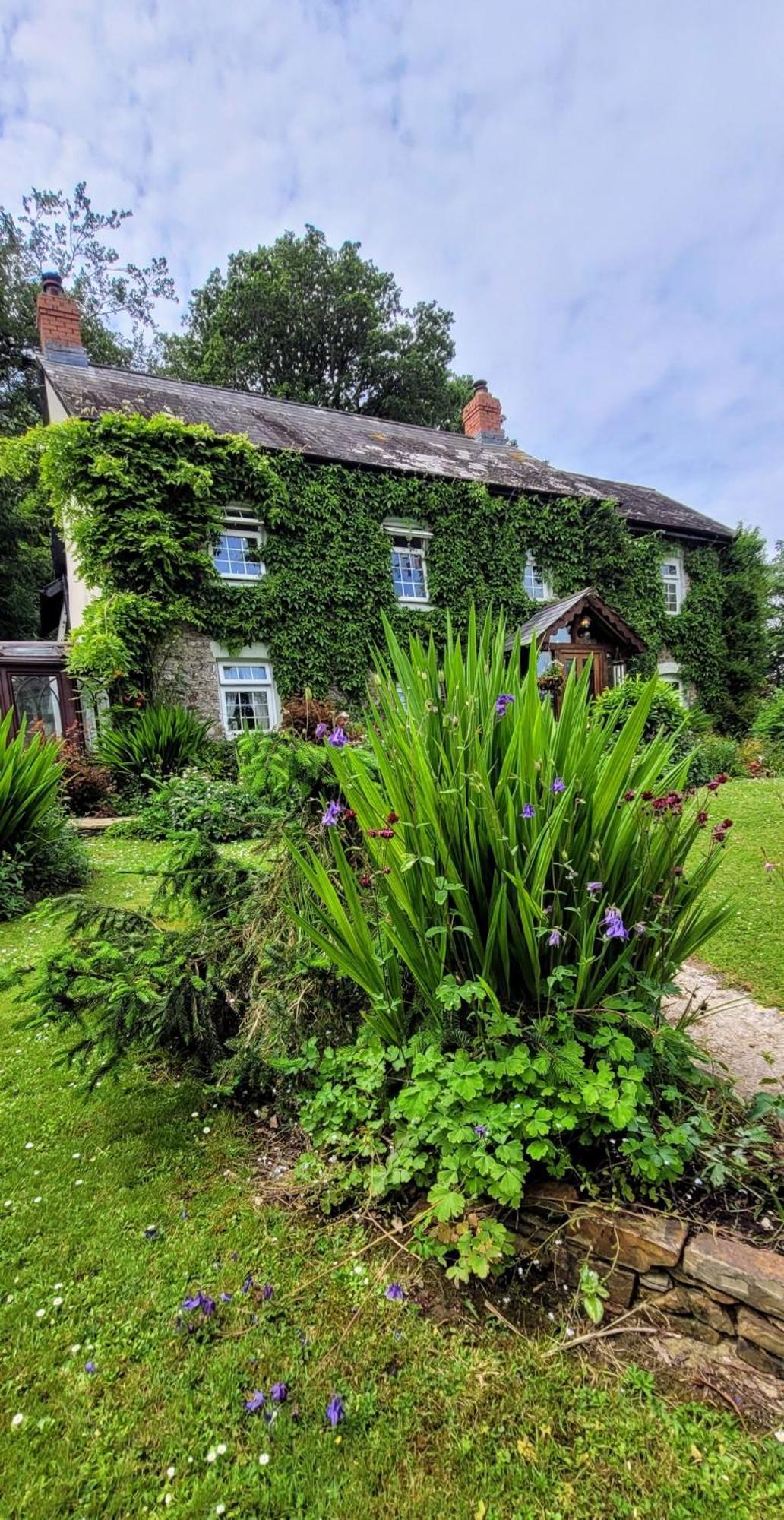 Kingsley Cottage - Beautiful Riverside Setting Beaworthy Exterior foto