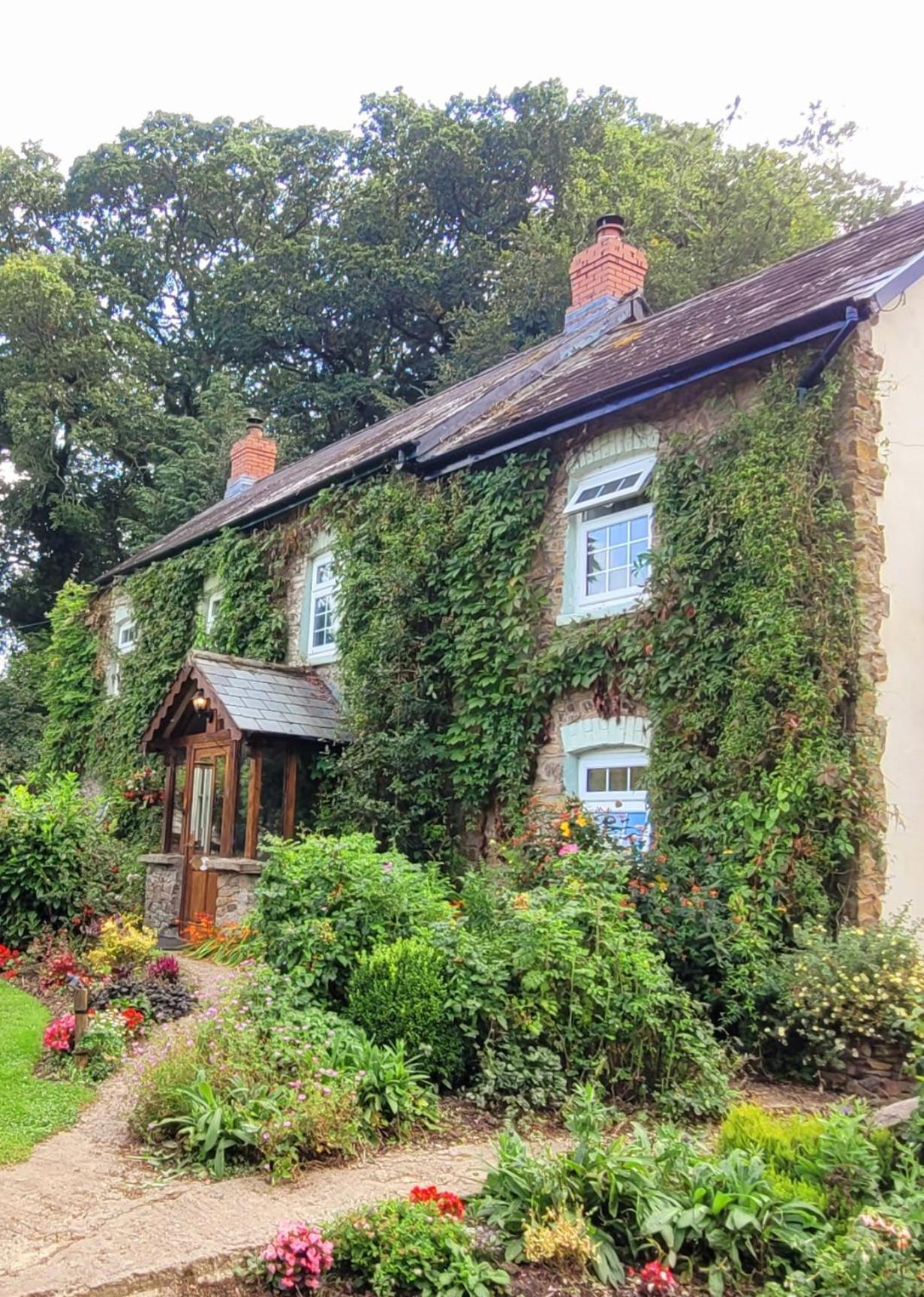 Kingsley Cottage - Beautiful Riverside Setting Beaworthy Exterior foto